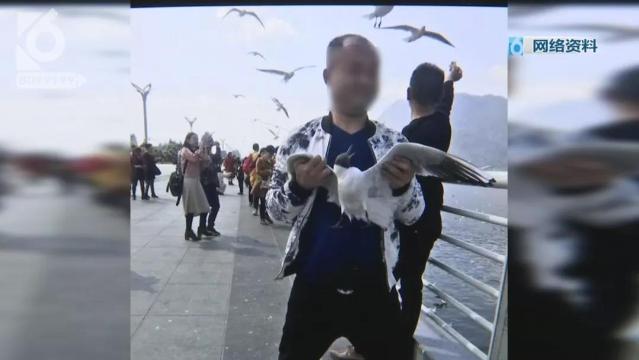 游客抓海鸥嬉戏拍照