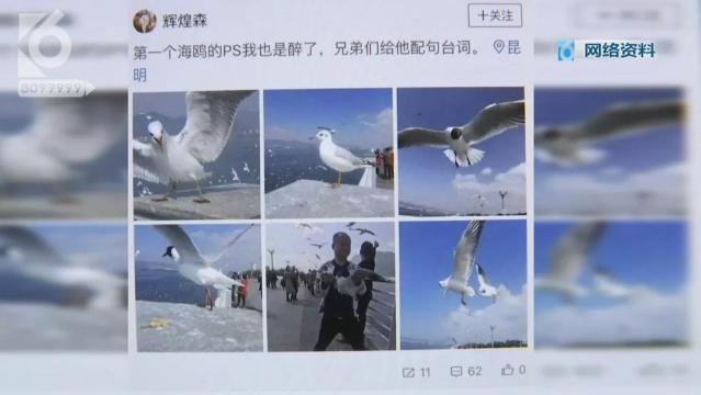 游客抓海鸥嬉戏拍照