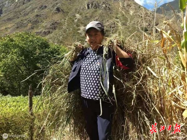 点击查看高清原图 点击查看高清原图