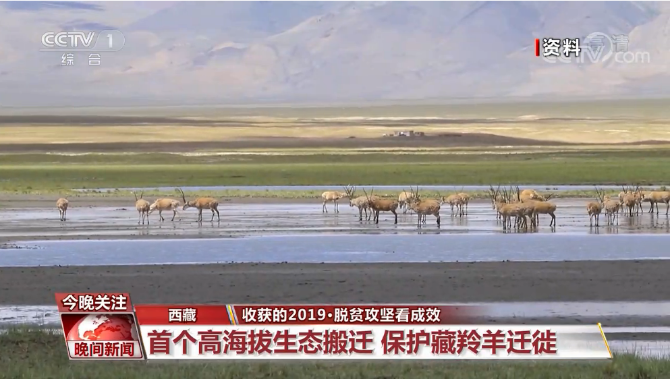 微信截图_20191227154530