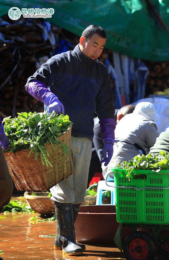 90fba6114c6317e4f09501 90fba6114c6317e4f09501