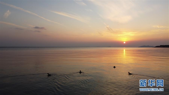 （新华全媒头条·图文互动）（4）大湖见证——长三角三大淡水湖绿色发展之路