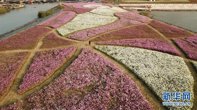 （新华全媒头条·图文互动）（5）大湖见证——长三角三大淡水湖绿色发展之路