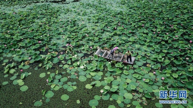 （新华全媒头条·图文互动）（14）大湖见证——长三角三大淡水湖绿色发展之路
