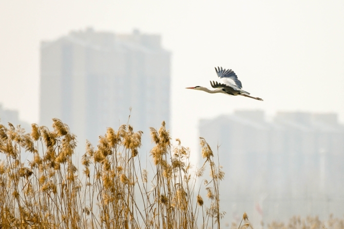 DSC_3055.jpg DSC_3055.jpg