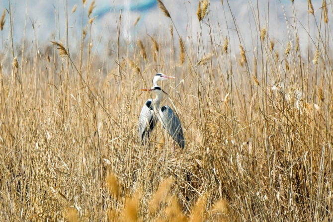 DSC_2884.jpg DSC_2884.jpg