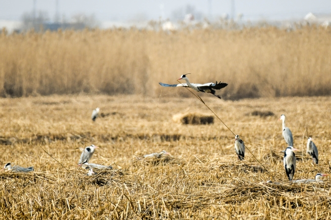 DSC_3119.jpg DSC_3119.jpg