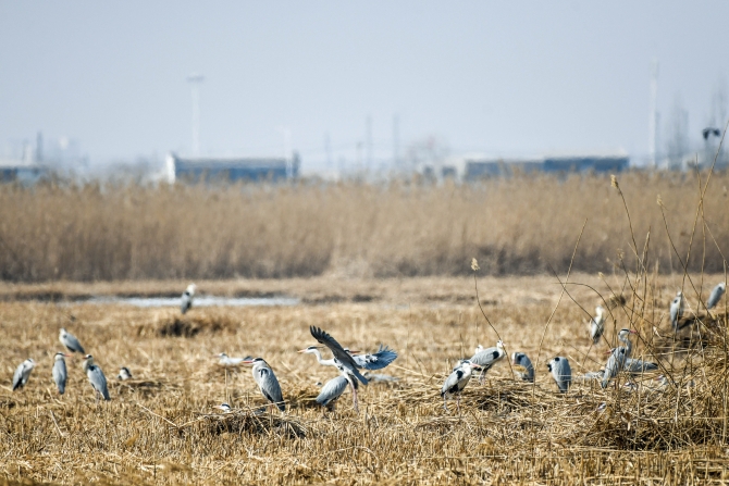 DSC_3182.jpg DSC_3182.jpg