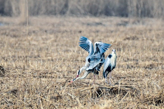 QYT_7395.jpg QYT_7395.jpg