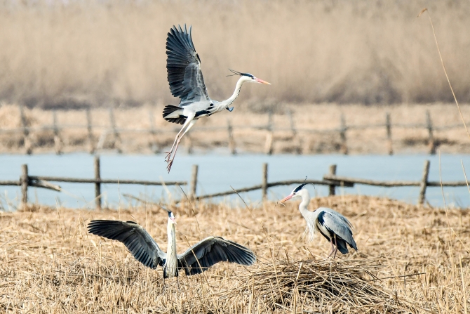 QYT_7461.jpg QYT_7461.jpg