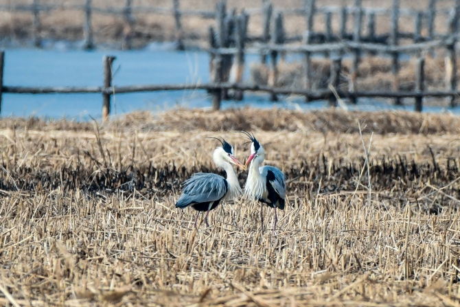 QYT_7472.jpg QYT_7472.jpg