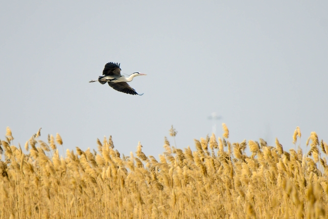 QYT_7634.jpg QYT_7634.jpg