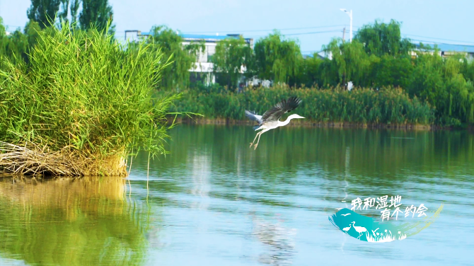 QQ截图20191023170510.png QQ截图20191023170510.png