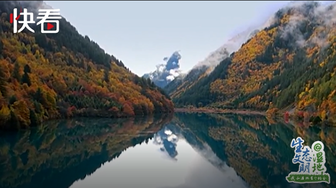 我和四川2 我和四川2