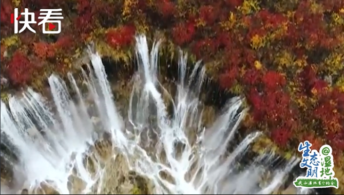 我和四川3 我和四川3