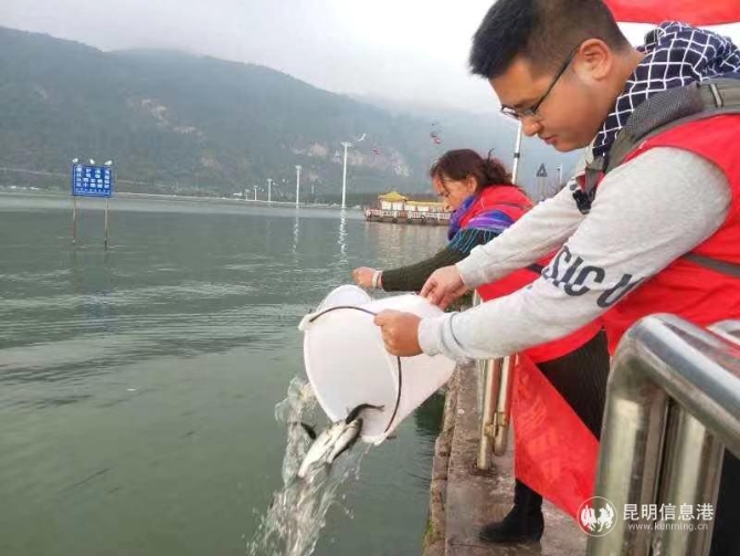 webwxgetmsgimg webwxgetmsgimg