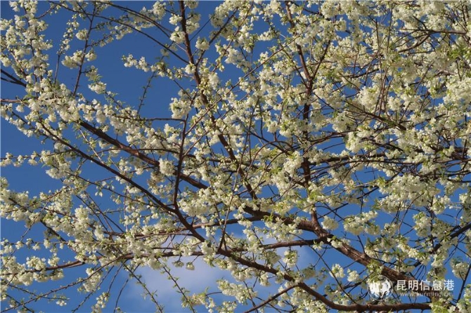 微信图片_20200102111816