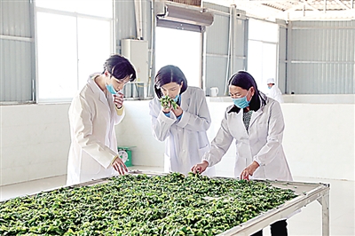 扶贫类节目正成为脱贫攻坚的“轻骑兵” 扶贫类节目正成为脱贫攻坚的“轻骑兵”