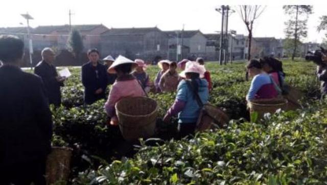 conew_23 - 副本.jpg