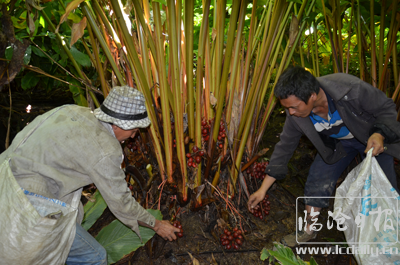 1578619675860823.png 复件-20200109112724a1sbvj.png