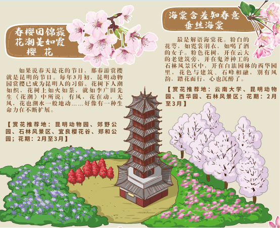 昆明赏花手绘地图芬芳“出炉”,城市文旅品牌新尝试