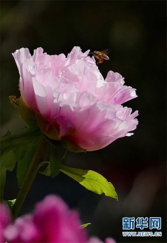 138710253_15791673235871n