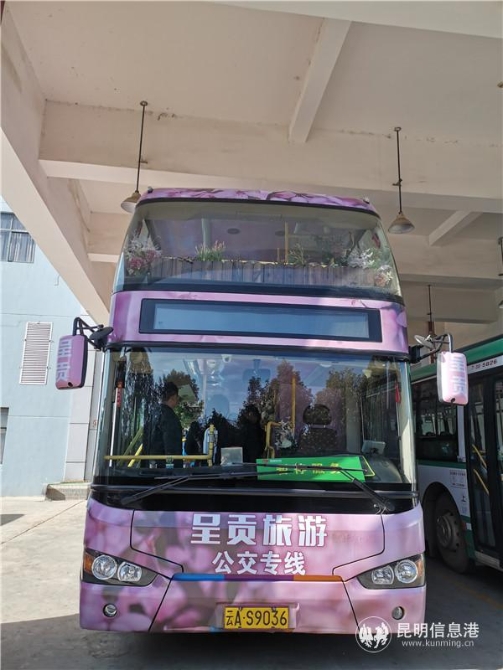 旅游公交 旅游公交