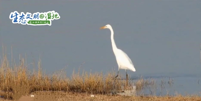 20200118114253343203 20200118114253343203