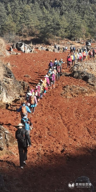 图一 徒步团整齐的队伍。供图