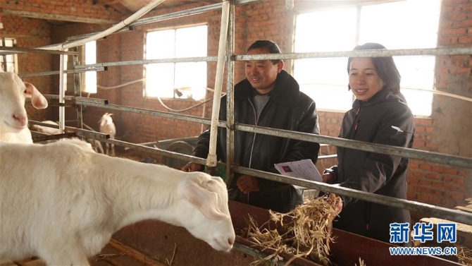 (新华全媒头条·图文互动)(4)在最艰苦的地方,有最温暖的你——安徽省“第一书记”的新春坚守