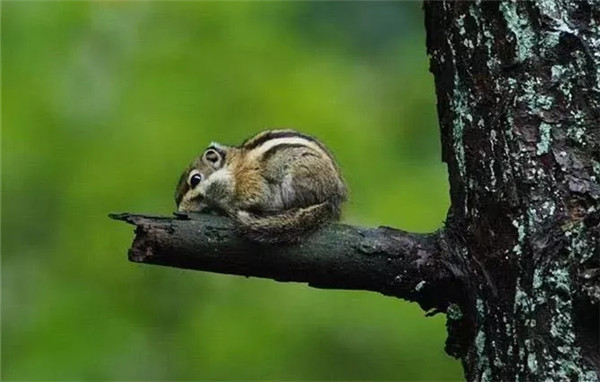 交易.webp 交易.webp