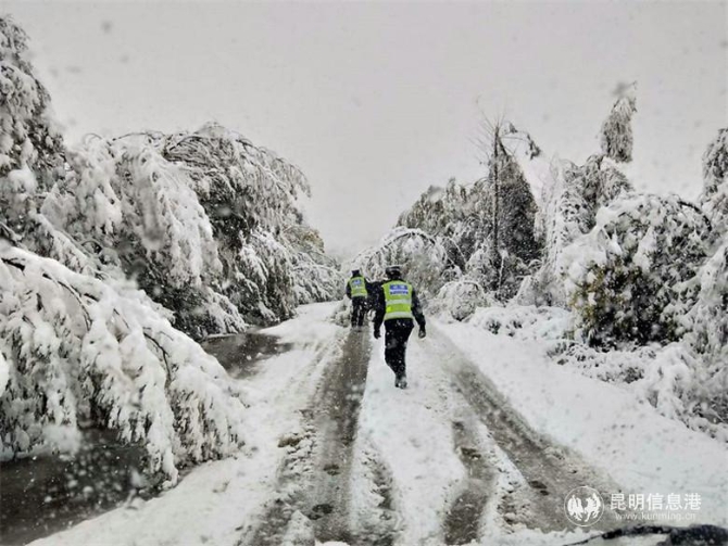 朱庆照片6 朱庆照片6