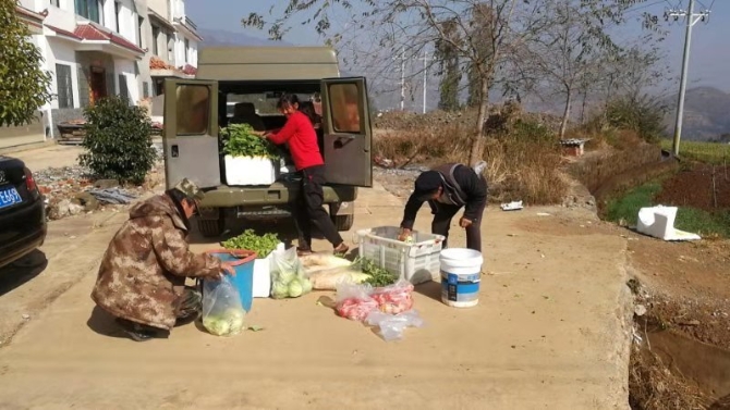 昆明易菜农场农产品有限公司洪文杰先生捐赠蔬菜