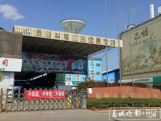 探访斗南花市，80%以上鲜切花线上交易 (7).jpg