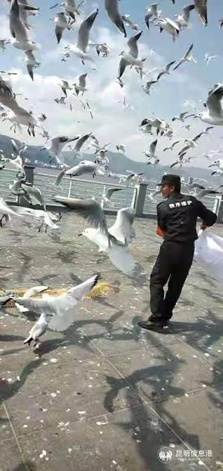 7ece77c2ec2c5bc8613468782979098