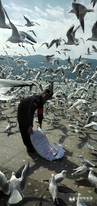 8f1c5730b2c081ffec7e28fbf291e6c