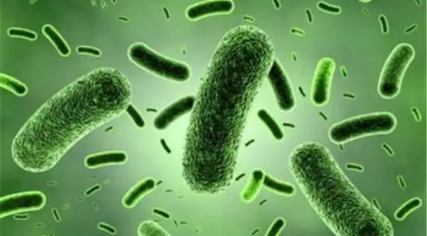 手机也可能是新型冠状病毒载体!40秒教你手机消毒方法