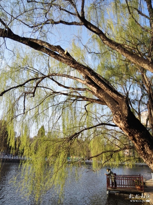 15202403281720.3770161735943_5636