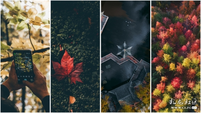 15752158398314833873206112394_7847