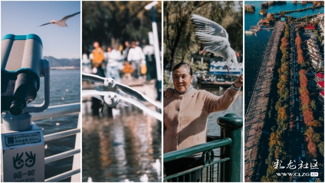 15752158395639092166465499361_7847