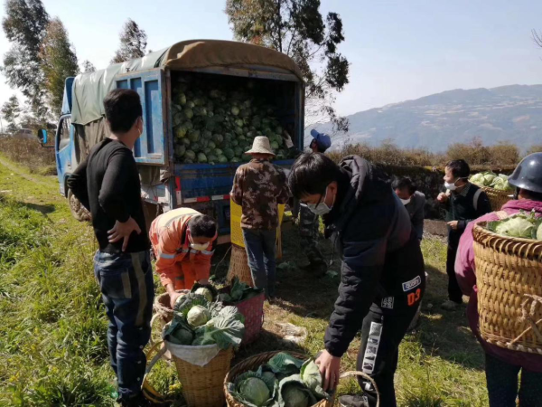 2268426fdd1941019b491dad27dcf2dd_1267x950.png 2268426fdd1941019b491dad27dcf2dd_1267x950.png