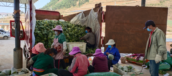 e4face91185449af866deda1b2c112cd_4000x1760.png e4face91185449af866deda1b2c112cd_4000x1760.png