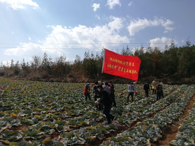 微信图片_20200208115211 微信图片_20200208115211