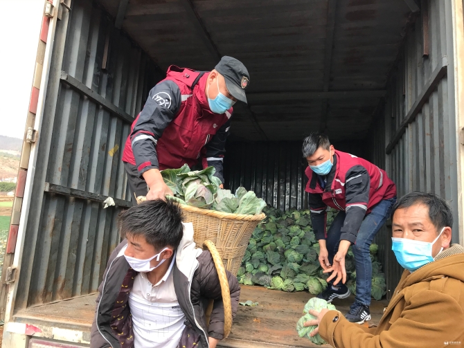 微信图片_20200208115349 微信图片_20200208115349