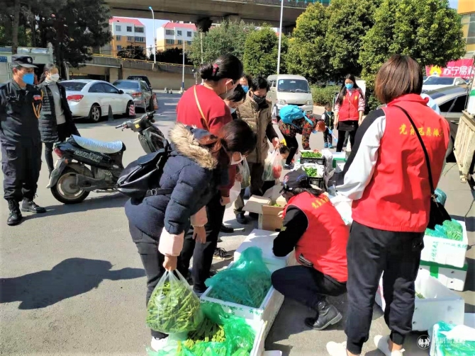 微信图片_20200207154012 微信图片_20200207154012