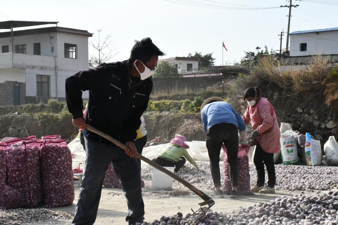 抗疫捐款 016 抗疫捐款 016