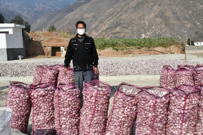 抗疫捐款 029 抗疫捐款 029