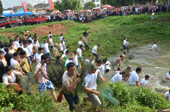 微信图片_201908021020366