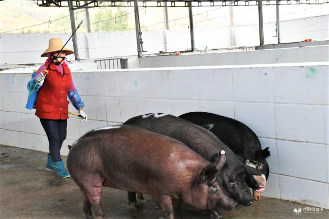 微信图片_20200215134503 微信图片_20200215134503