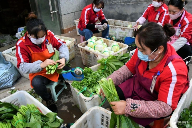 微信图片_20200215134512 微信图片_20200215134512